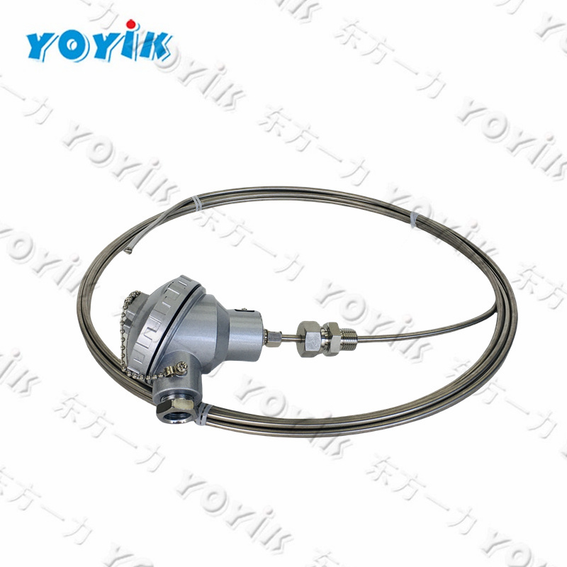  WZPT-025 China offers armored thermal resistance RTD Sesor 