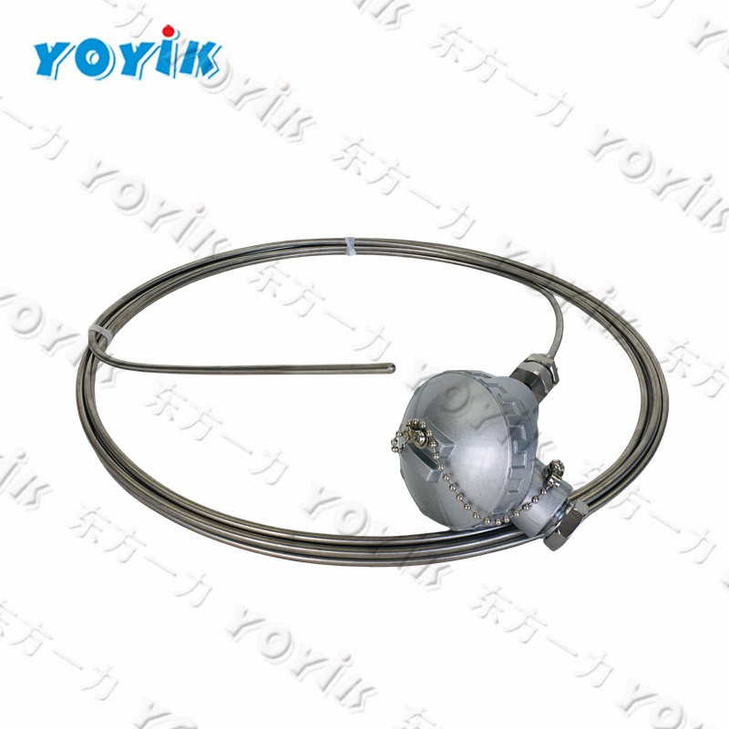 THERMOCOUPLE WRN2-2325NM China factory made for power plant