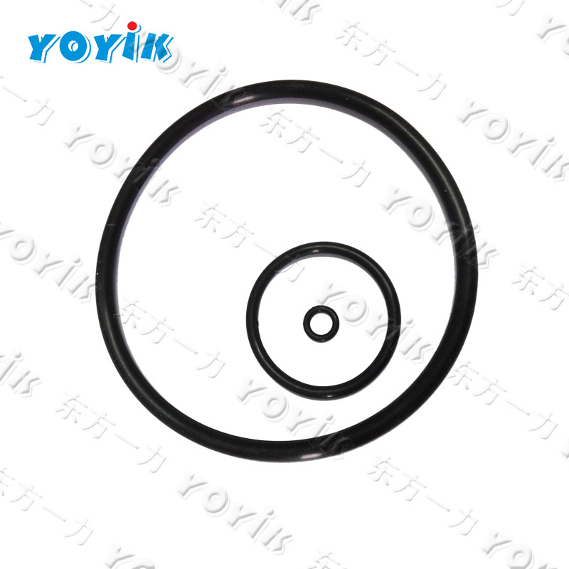 O-ring DG600-240-07-01(11)