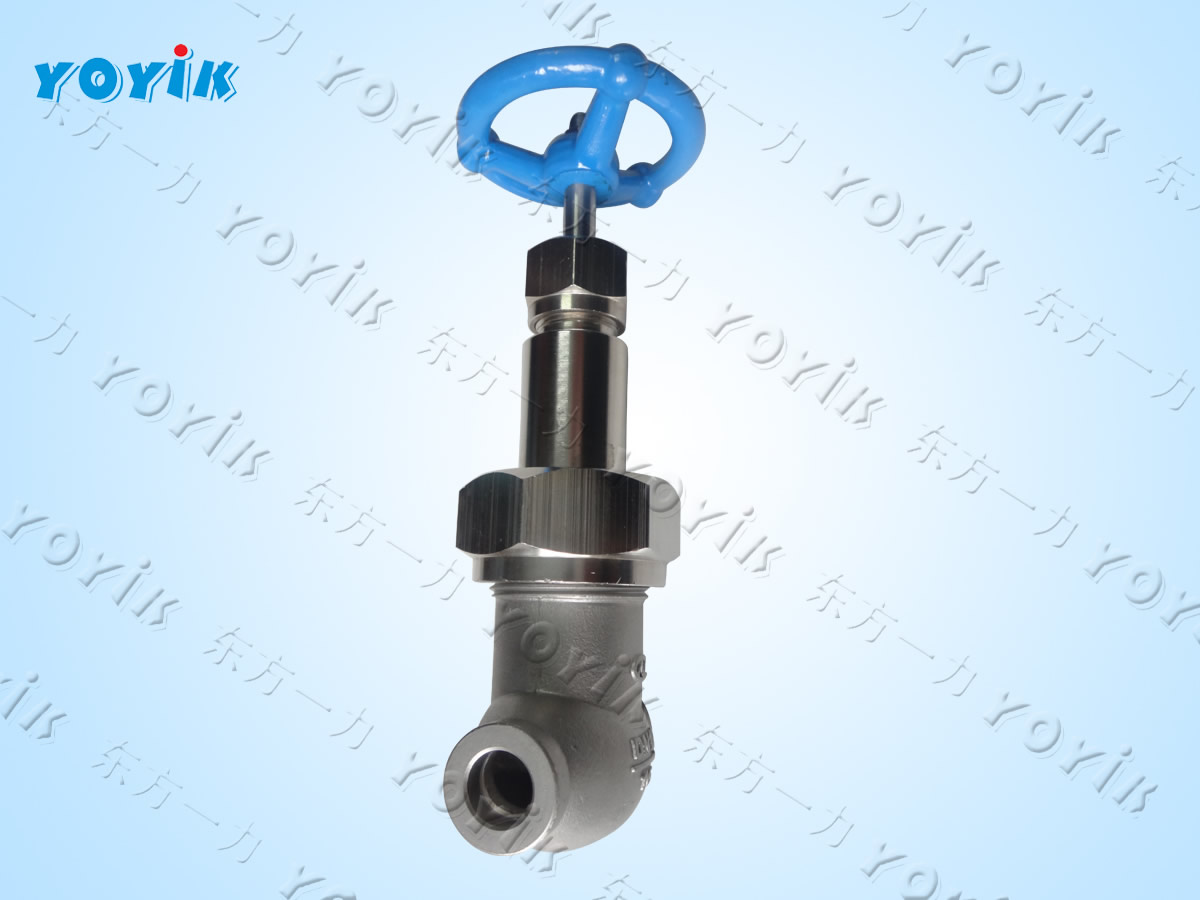 bellows globe valve (welded) WJ10F1.6PA Kaltim Teluk power